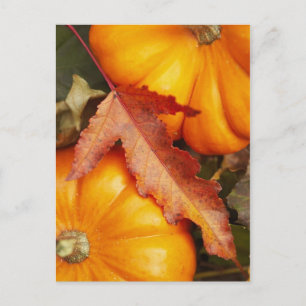 November Design Postcard