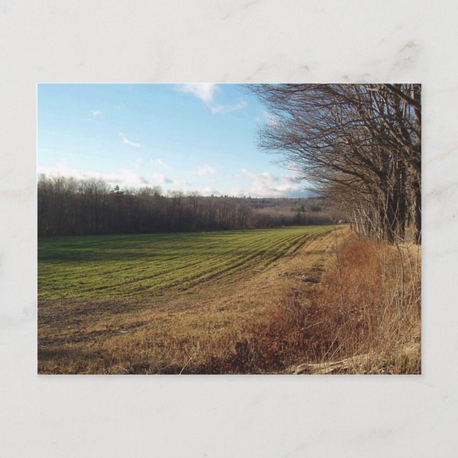 November Field II Postcard (Front)