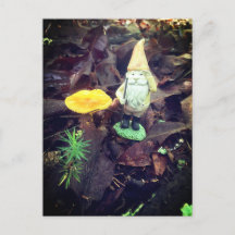 November Gnome