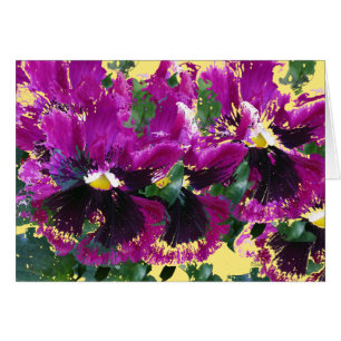 November Pansies
