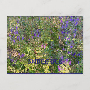 NOVEMBER POSTCARD