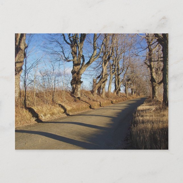 November Road Postcard (Front)