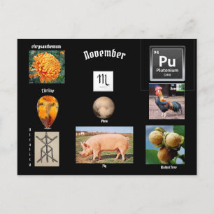 November  Scorpio Birth Month Postcard