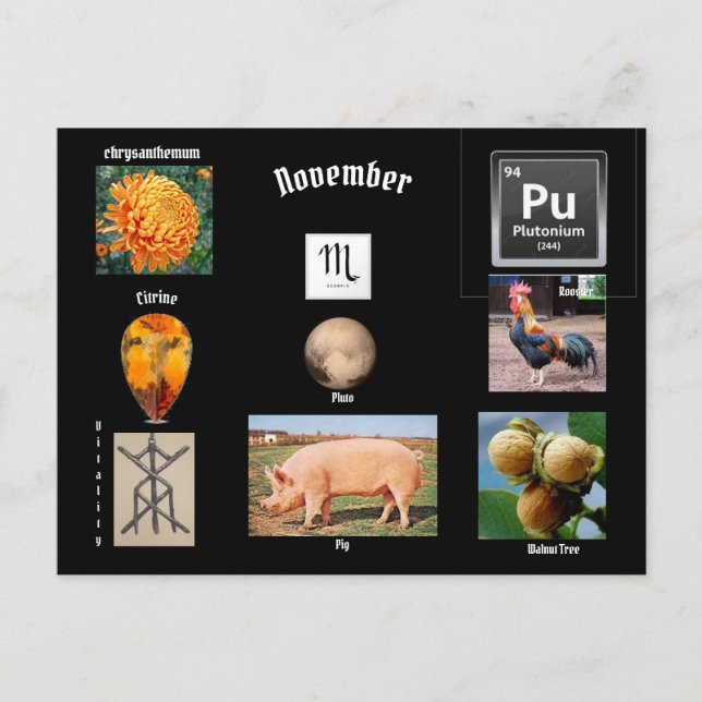 November  Scorpio Birth Month Postcard (Front)