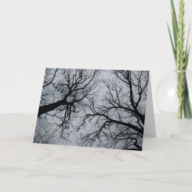 November Sky Through Trees Photograph Card (Front)