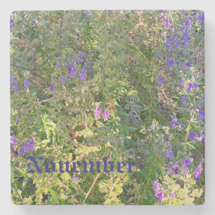 NOVEMBER STONE COASTER