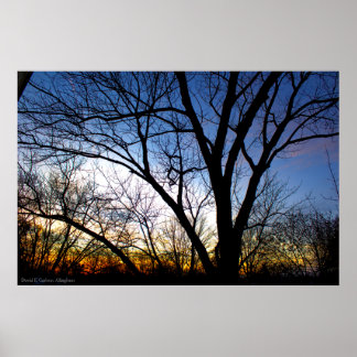 November Sunset from my Window Poster