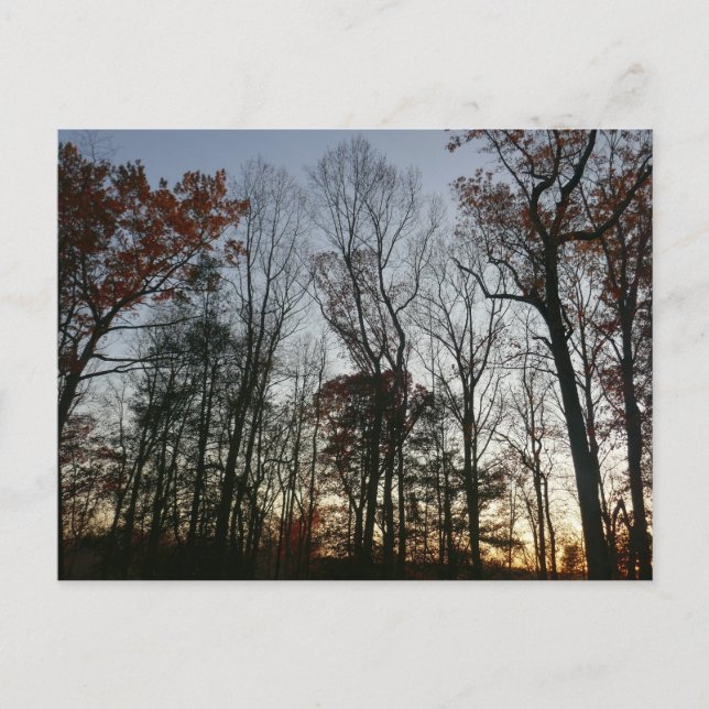 November Sunset Postcard (Front)