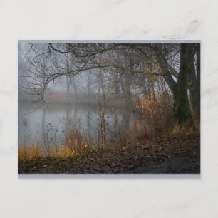 November Tree CC0310 Postcard