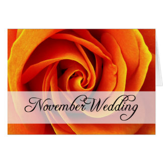 November Wedding : rose of the season :