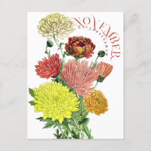Novermber Month Flowers Chrysanthemum Fancy Postca Postcard