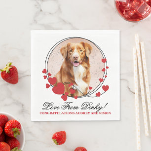 Novia Scotia Duck Tolling Retriever Dog Photo Napkin