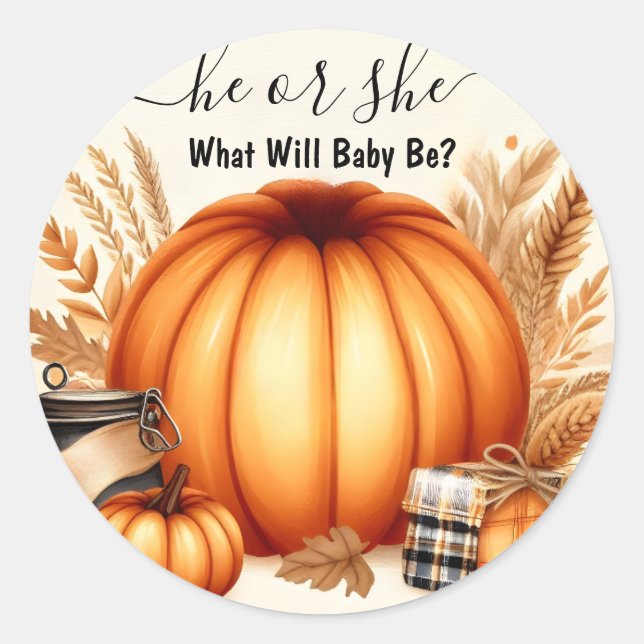 Now Farm Pink Blue Fall Girl Pumpkin Gender Reveal Classic Round Sticker (Front)