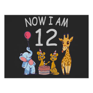 Now I am 12 years old 12th Birthday at the Zoo Poster