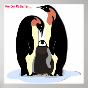 Now Son It's like this Poster