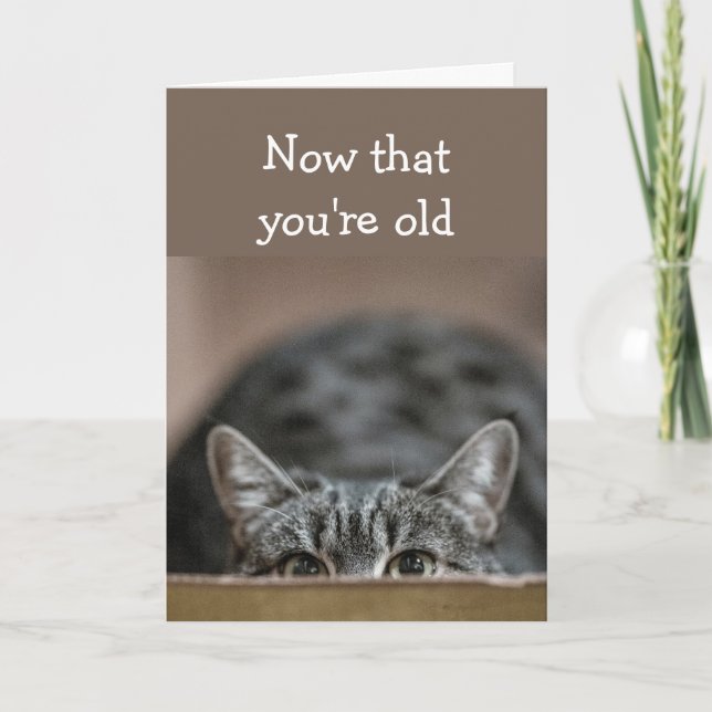 Now that You're Old Birthdays Sneak up Cat Pounce Card (Front)