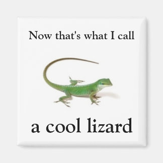 Now that's what I call a cool lizard Magnet