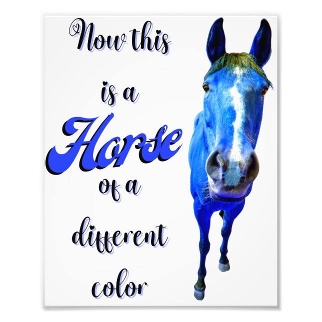Now This Is A Horse Of A Different Colour in Blue Photo Print (Front)