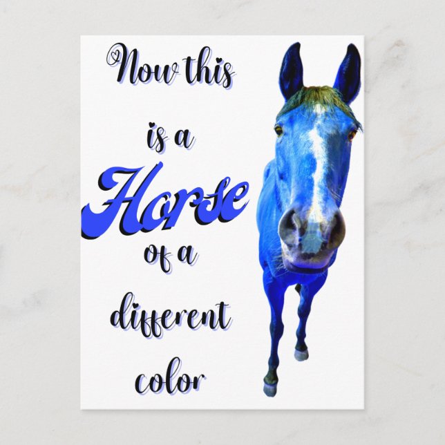Now This Is A Horse Of A Different Colour in Blue Postcard (Front)