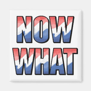 Now what  in red white and blue magnet