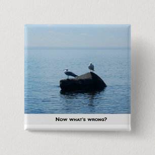 Now what's wrong? 2 inch square button