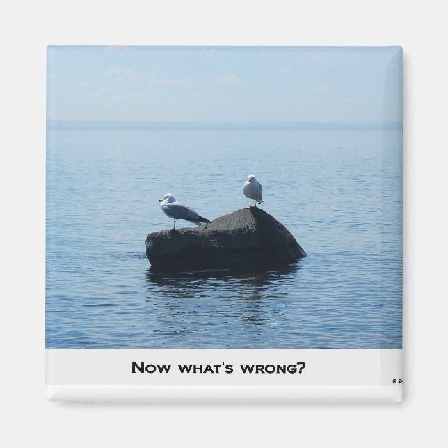 NOW WHAT'S WRONG ? MAGNET (Front)