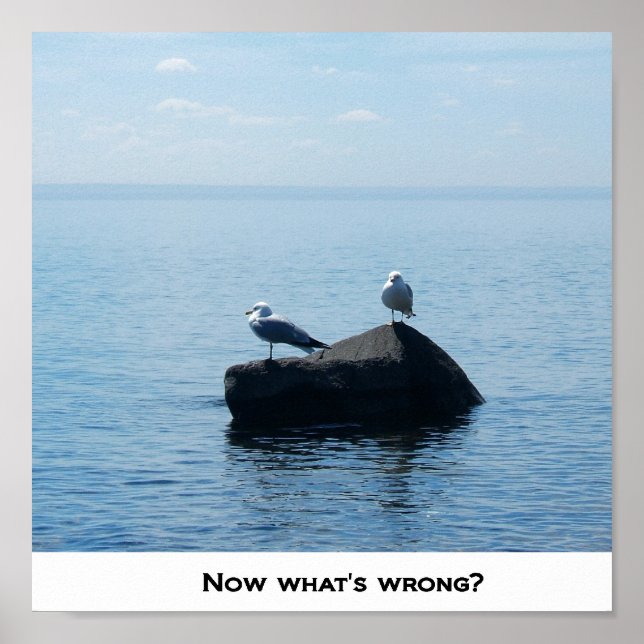 NOW WHAT'S WRONG ? POSTER (Front)