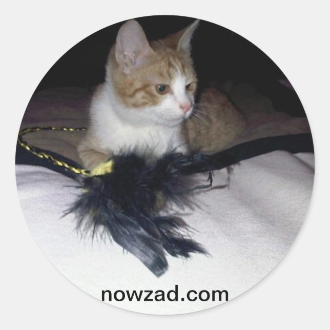 Nowzad Pablo Sticker (Front)