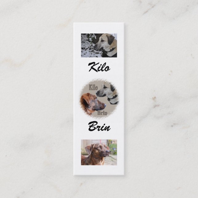 Nowzad Rescue Dogs Bookmark Mini Business Card (Front)