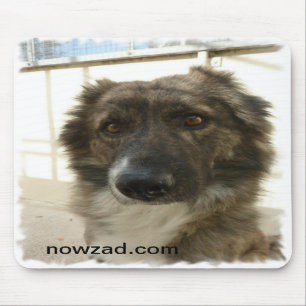 Nowzad Rescue Wylie Mousepad