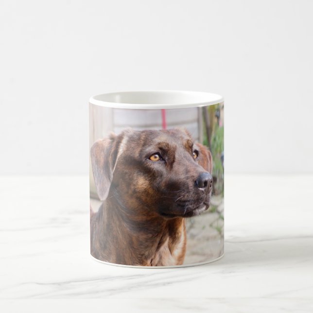 Nowzad Rscue Dog Brin Coffee Mug (Center)