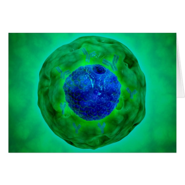 Noyau Cellulaire Avec Chromosome 1 (Devant horizontal)