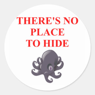 nsa classic round sticker