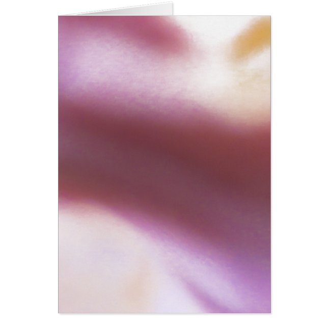 Nuage de sang (Devant)