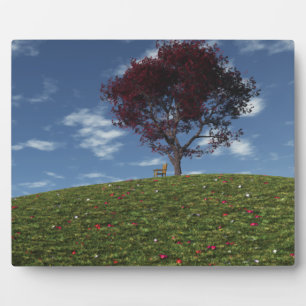 Nuages Aller Naviguer Sur La Plaque Photo
