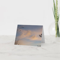 Nuages de cirrus agités sur une carte blanche