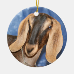 Nubian doe head against blue ceramic ornament