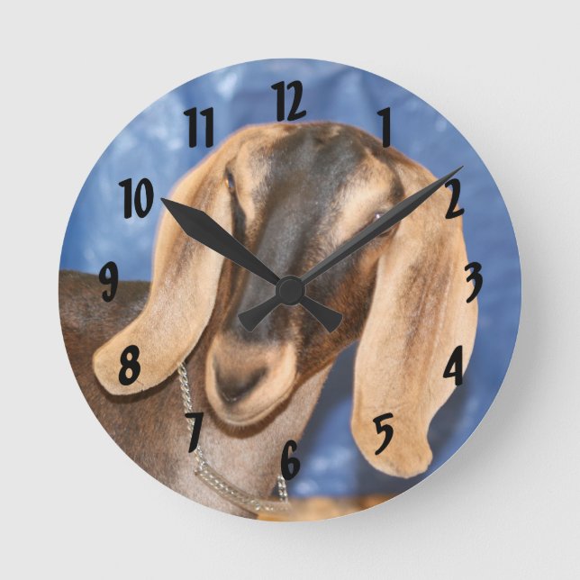 Nubian doe head against blue round clock (Front)