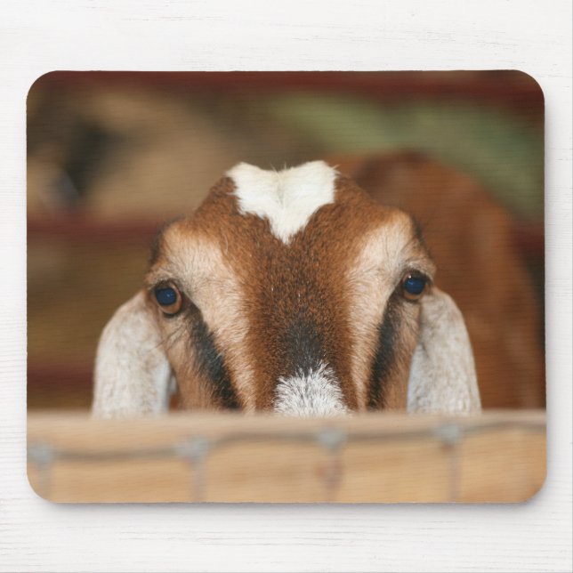 Nubian doe peeking over wooden rail mouse pad (Front)