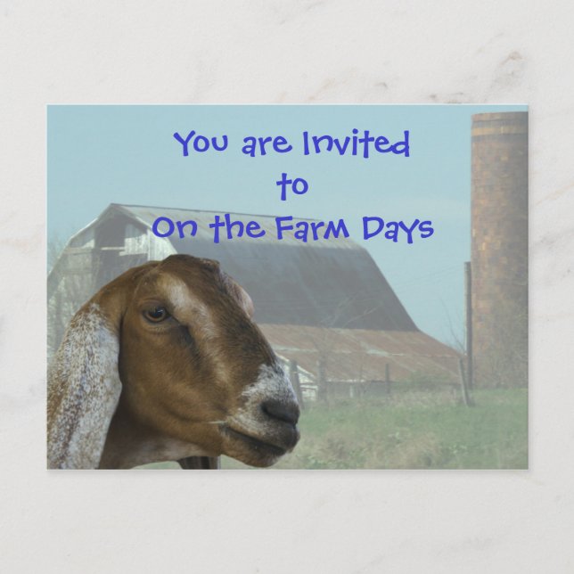 Nubian Goat Farm Day Invitation- customize Invitation Postcard (Front)