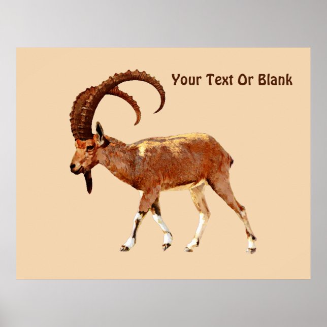 Nubian Ibex - Ein Gedi Poster (Front)