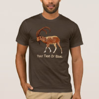 Nubian Ibex - Ein Gedi