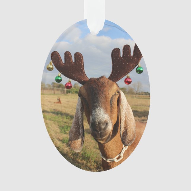 Nubian Reindeer Xmas Ornament (Front)