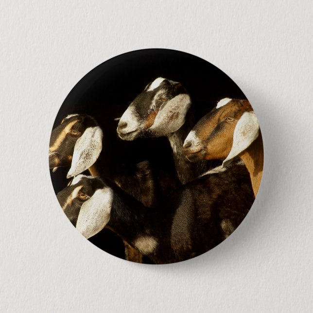 Nubians Does Focused 2 Inch Round Button (Front)