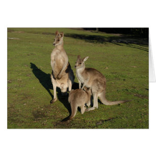 Nucléaire 'Roos
