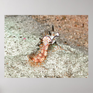 Nudi Love Poster