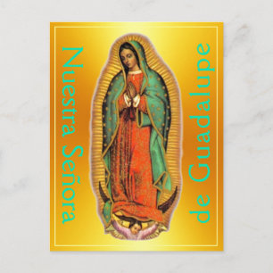Nuestra Señora de Guadalupe Postcard