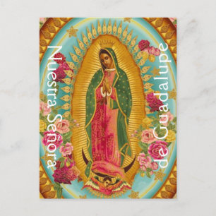 Nuestra Señora de Guadalupe Postcard