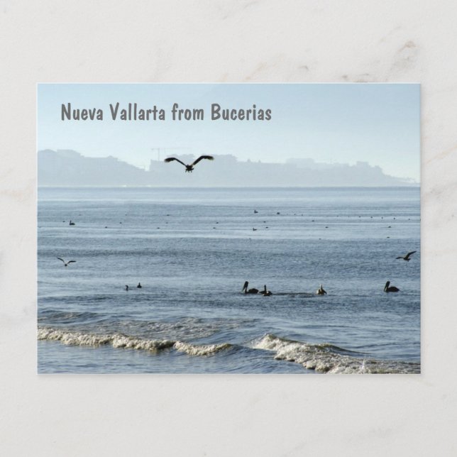 Nueva Vallarta from Bucerias Postcard (Front)