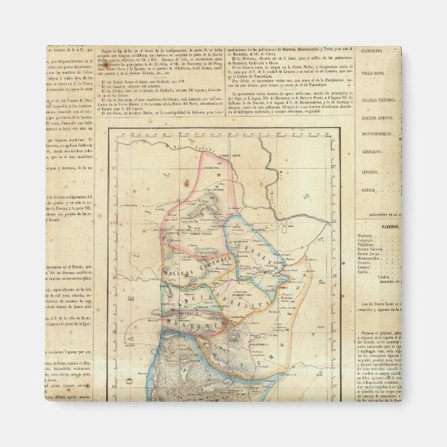 Nuevo Leon, Mexico Magnet (Front)